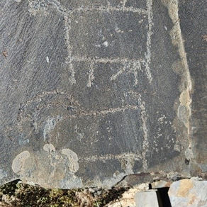 Effervescence of Lahul and Spiti Rock Art